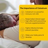 image:imageMedela inBra Breast Milk Collector LeakProof Wearable Design with Flexible Plug Anatomic Shape Made Without BPA Easy to Clean amp Dishwasher Safe 30 mL CapacityHarmony Pump  Colostrum Collection Kit